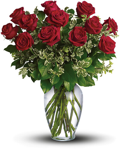 Always on My Mind - Long Stemmed Red Roses